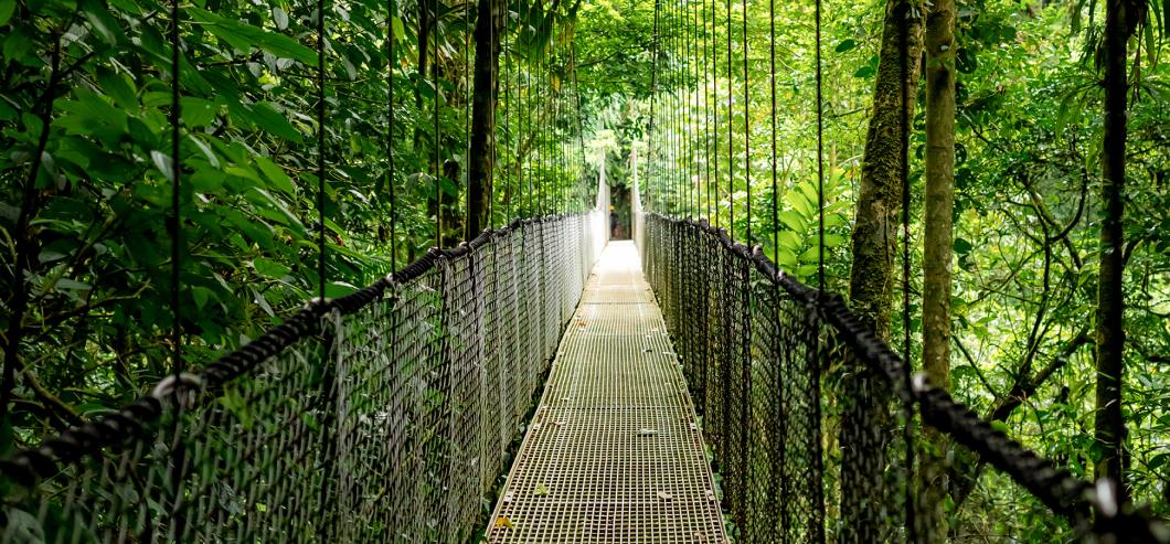 Designed for sustainability