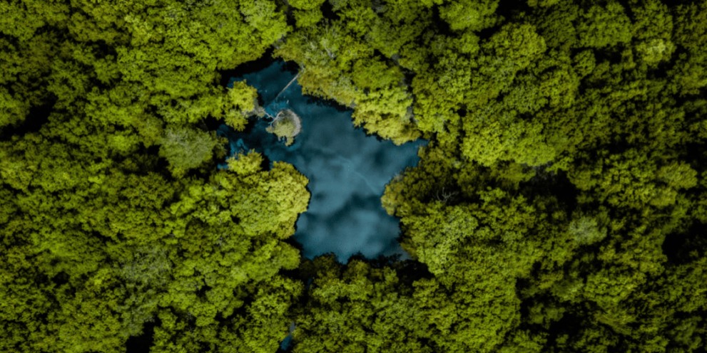 Designed for sustainability